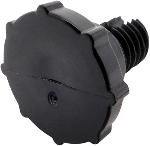 V&aacute;lvula ventilaci&oacute;n drenaje Filtro Pentair R172224XZ