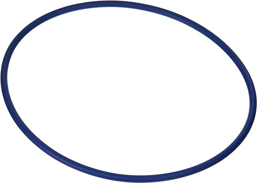 Repuesto Empaque Cuello De Filtro Hayward GMX600F (O-263-9)